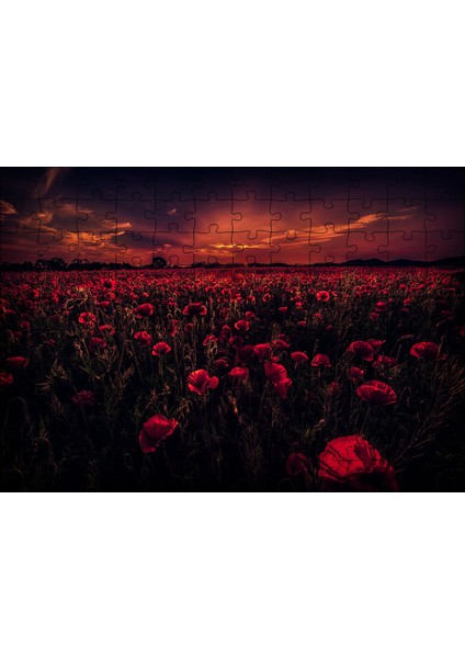 Günbatımı Gelincik Tarlası ve Kızıl Gökler 120 Parça Puzzle Yapboz Mdf (Ahşap)
