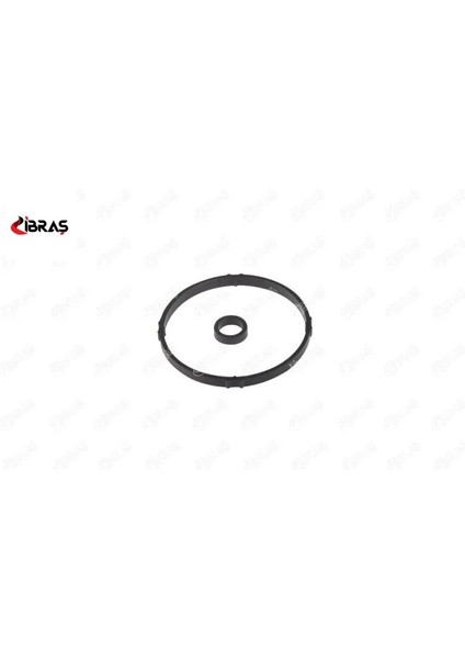 Yağ Filtre Kutu Contasi 206-307-PARTNER 1.6i Ibras 1103.J7 17597