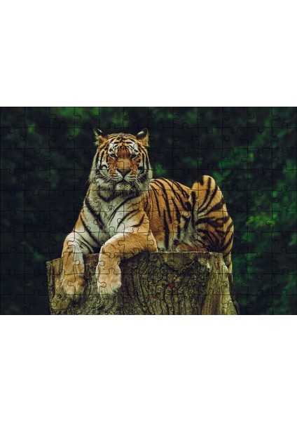 Kütüğün Üzerindeki Bengal Kaplanı 120 Parça Puzzle Yapboz Mdf (Ahşap)