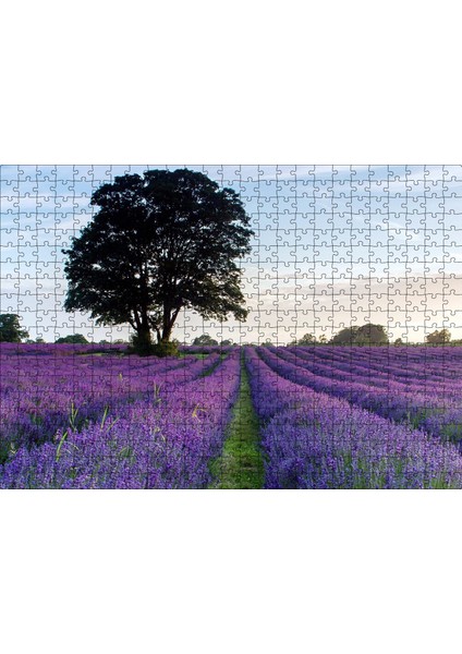 Cakapuzzle Lavanta Tarlaları ve Yalnız Ağaç 500 Parça Puzzle Yapboz Mdf (Ahşap)