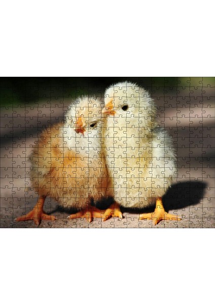 Sevimli Iki Civciv 255 Parça Puzzle Yapboz Mdf (Ahşap)