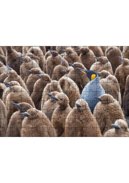 Cakapuzzle Yetişkin Kral Penguven ve Yavru Penguenler Görseli 120 Parça Puzzle Yapboz Mdf (Ahşap)