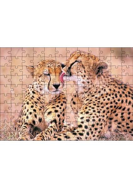 Cakapuzzle Çita Ailesi Temizleniyor 120 Parça Puzzle Yapboz Mdf (Ahşap)