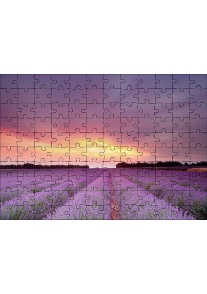 Cakapuzzle Günbatımında Lavanta Tarlaları ve Kızıl Gökler 120 Parça Puzzle Yapboz Mdf (Ahşap)
