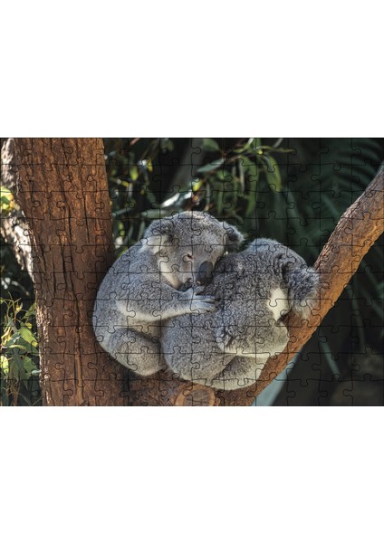 Cakapuzzle Dalda Koala Kardeşliği 120 Parça Puzzle Yapboz Mdf (Ahşap)
