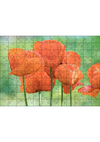 Cakapuzzle Turuncu Gelincikler 120 Parça Puzzle Yapboz Mdf (Ahşap)