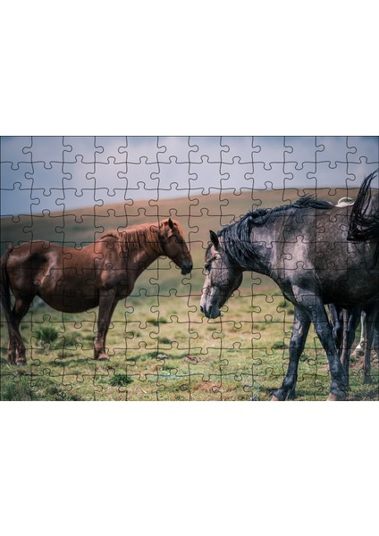Cakapuzzle Çayırda Yılkı Atları 120 Parça Puzzle Yapboz Mdf (Ahşap)