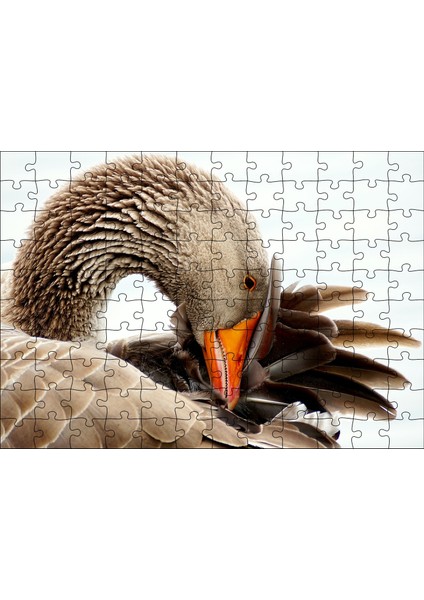 Cakapuzzle Kanadını Temizleyen Kahverengi Kaz Görseli 120 Parça Puzzle Yapboz Mdf (Ahşap)