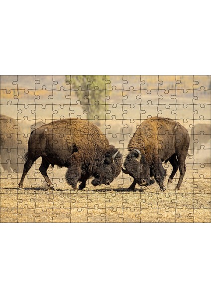 Cakapuzzle Çayırda Gövde Gösterisindeki Bizonlar 120 Parça Puzzle Yapboz Mdf (Ahşap)