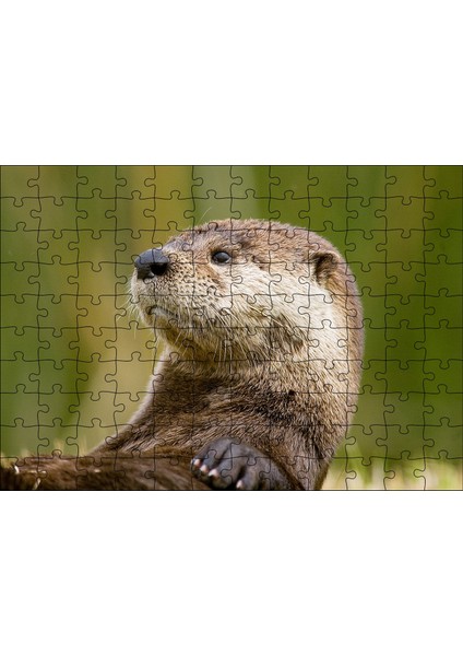 Cakapuzzle Su Samuru Yakın Plan 120 Parça Puzzle Yapboz Mdf (Ahşap)