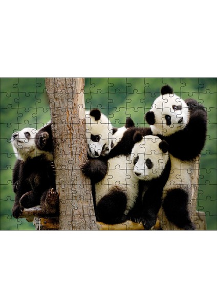 Cakapuzzle Dalda Oynayan Yavru Pandalar 120 Parça Puzzle Yapboz Mdf (Ahşap)