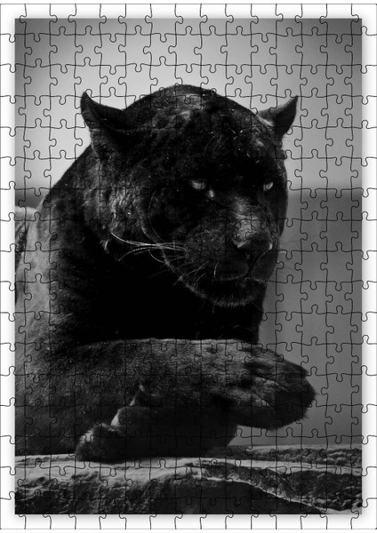 Siyah Jaguar 255 Parça Puzzle Yapboz Mdf (Ahşap)