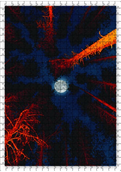 Orman Gece Kamp Ateşi ve Dolunay 120 Parça Puzzle Yapboz Mdf (Ahşap)
