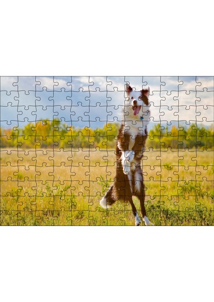 Sarı Çayırda Zıplayan Kahverengi Beyaz Köpek 120 Parça Puzzle Yapboz Mdf (Ahşap)