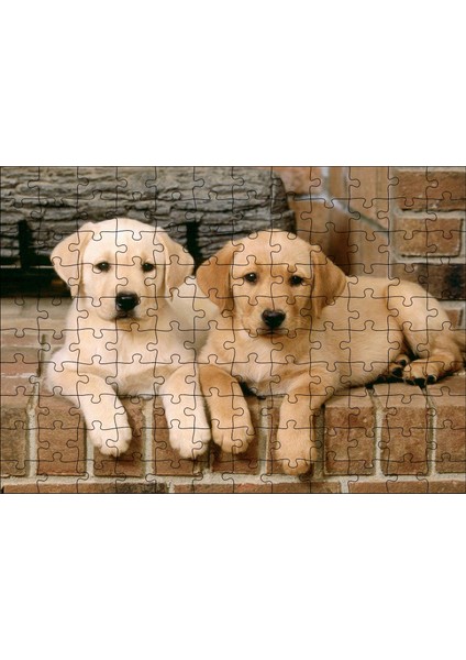Şöminenin Önünde Iki Labrador Yavrusu 120 Parça Puzzle Yapboz Mdf (Ahşap)