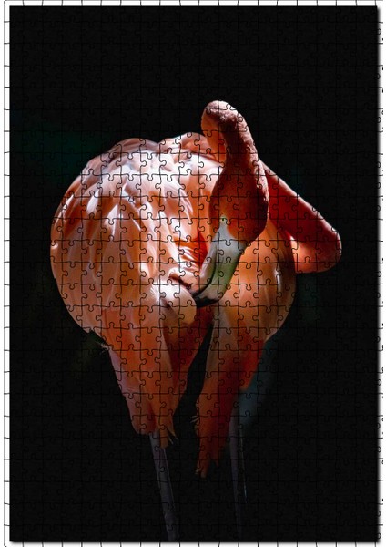 Muhteşem Renkli Tüyleriyle Flamingo 120 Parça Puzzle Yapboz Mdf (Ahşap)