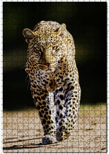 Sinirli Bakışlı Leopar Flu Arkaplan 500 Parça Puzzle Yapboz Mdf (Ahşap)