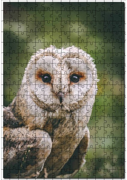 Gri Orman Baykuşu Görseli 255 Parça Puzzle Yapboz Mdf (Ahşap)
