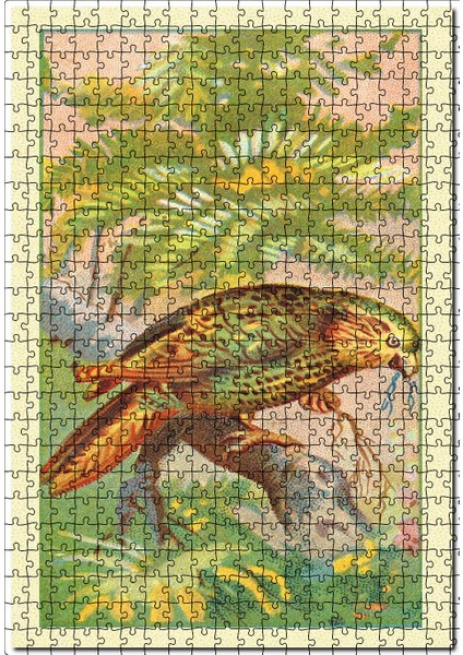 Kakapo Papağan Kuş Görseli 120 Parça Puzzle Yapboz Mdf (Ahşap)