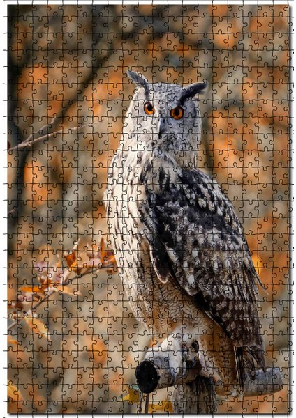 Gururlu Baykuş Görseli 120 Parça Puzzle Yapboz Mdf (Ahşap)