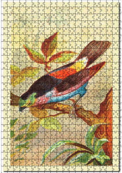 Paradise Tanager Kuş Görseli 120 Parça Puzzle Yapboz Mdf (Ahşap)