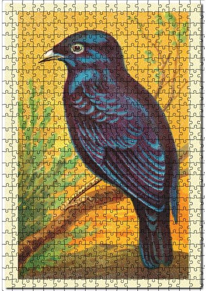 Saten Bower Kuş Görseli 120 Parça Puzzle Yapboz Mdf (Ahşap)
