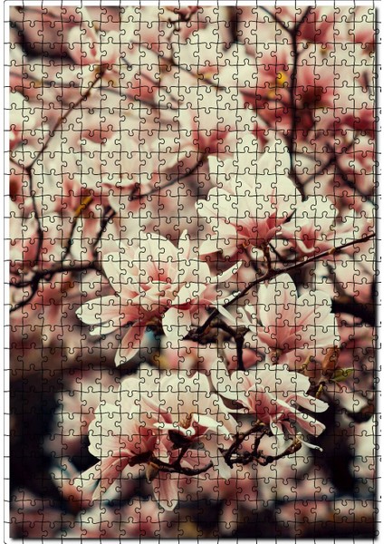 Dallarda Pembe Beyaz Manolya Çiçekleri 120 Parça Puzzle Yapboz Mdf (Ahşap)