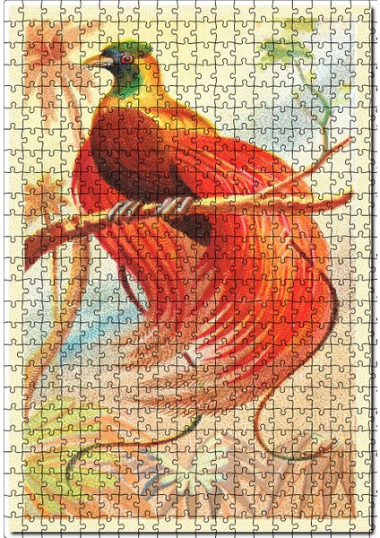 Kırmızı Cennet Kuşu Görsel 120 Parça Puzzle Yapboz Mdf (Ahşap)