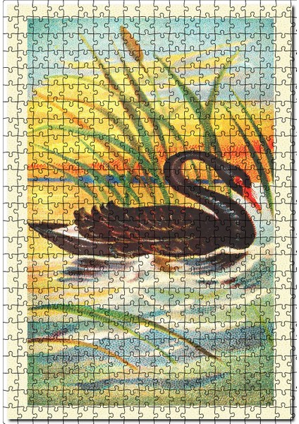 Siyah Kuğu Kuşu 120 Parça Puzzle Yapboz Mdf (Ahşap)