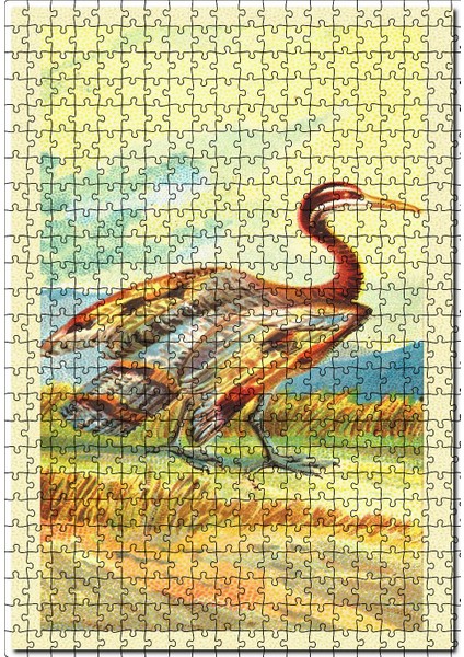 Sun Bittern Kuş Görseli 120 Parça Puzzle Yapboz Mdf (Ahşap)