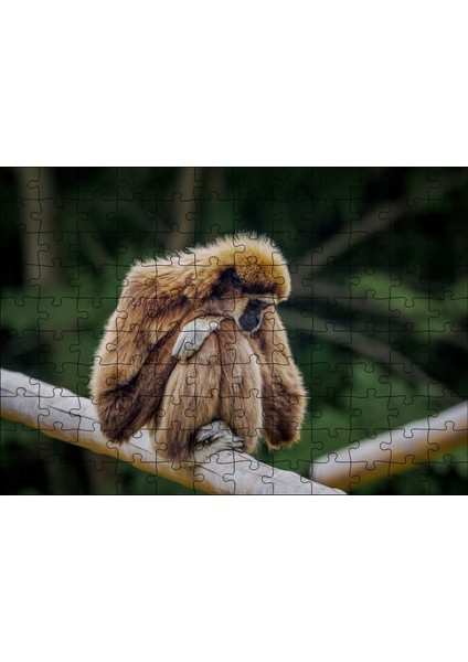 Bambu Üzerinde Dinlenen Gibbon Maymunu 120 Parça Puzzle Yapboz Mdf (Ahşap)