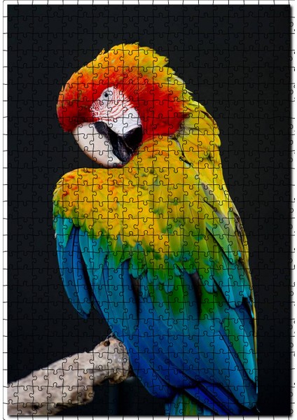 Mavi Sarı Kırmızı Macaw Siyah Arkaplan 120 Parça Puzzle Yapboz Mdf (Ahşap)