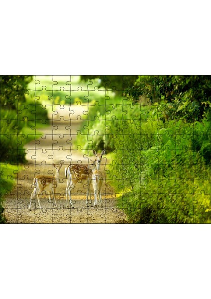 Orman Patikasında Anne Ceylan ve Yavruları 120 Parça Puzzle Yapboz Mdf (Ahşap)