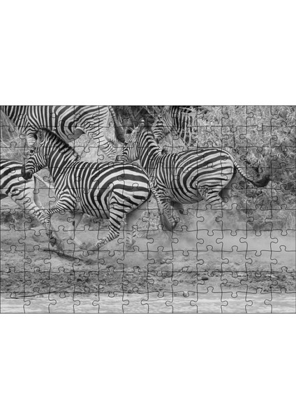 Su Kenarında Kaçan Zebralar Siyah Beyaz 120 Parça Puzzle Yapboz Mdf (Ahşap)