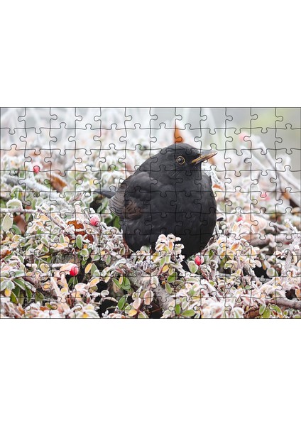 Donmuş Çalıların Arasındaki Karatavuk 120 Parça Puzzle Yapboz Mdf (Ahşap)