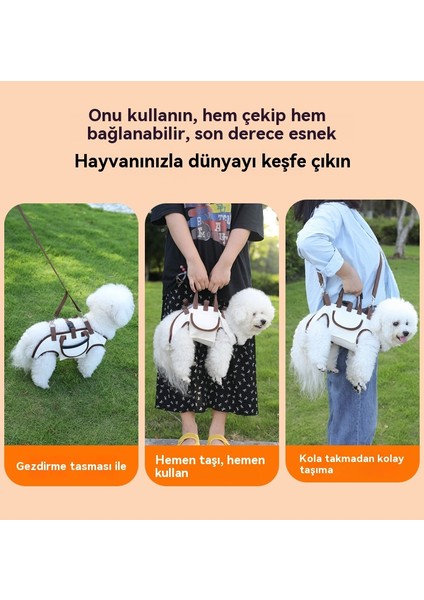 Küçük Köpek Kedi Omuz Çantası Üç Parçalı Takım (Yurt Dışından) modelleri