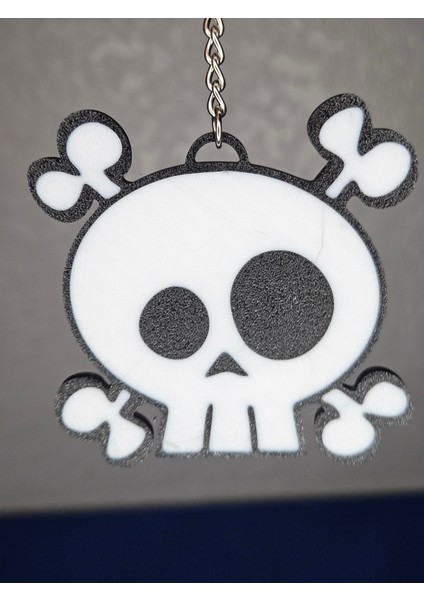 Skully Iskelet Anahtarı (Plastik Aparattır!!!) 3D modelleri