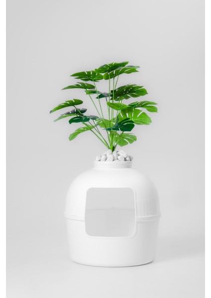 Dekoratif Kedi Tuvaleti/Evi Beyaz