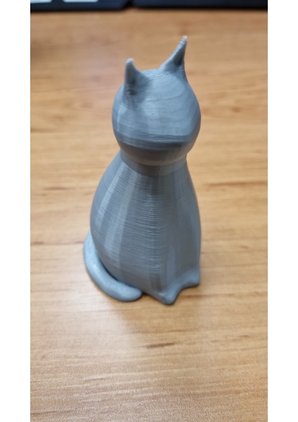 Kedi Lucy (Sadece Plastik Aparattır!!!) 3D modelleri