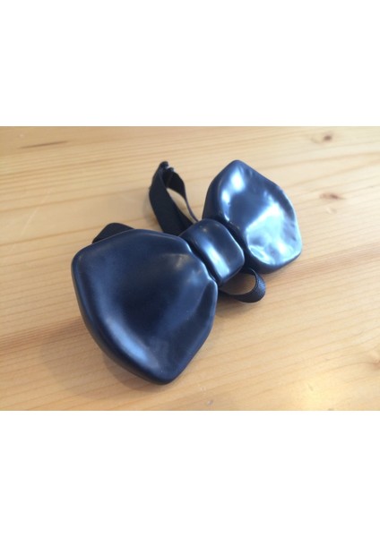 Papillon (Sadece Plastik Aparattır!!!) 3D