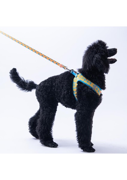 Citrus Leash Narenciye Desenli Kedi Köpek Sevk & Gezdirme Kayışı Köpek Uzatma Tasması fiyatları