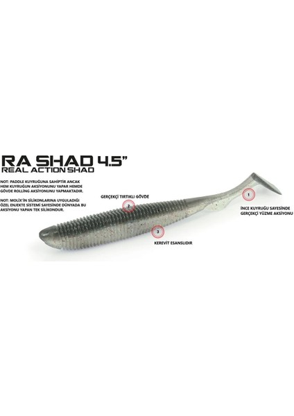 Ra Shad 4,5'' (6 Pcs) Col. Savetta fiyatları