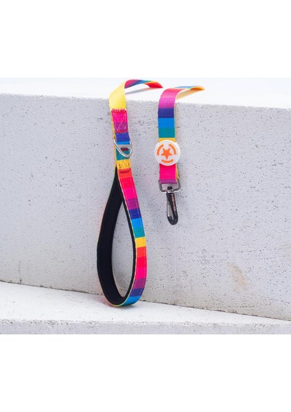 Rainbow Leash Gökkuşağı Desenli Kedi Köpek Sevk & Gezdirme Kayışı Köpek Uzatma Tasması