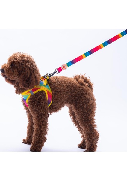 Rainbow Leash Gökkuşağı Desenli Kedi Köpek Sevk & Gezdirme Kayışı Köpek Uzatma Tasması fiyatları