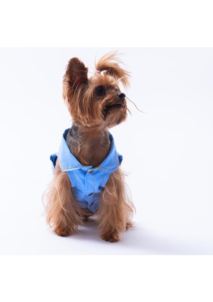 Açık Mavi Kot Desen Denim Look Kedi Köpek Gömleği - Kedi Köpek Kıyafeti modelleri