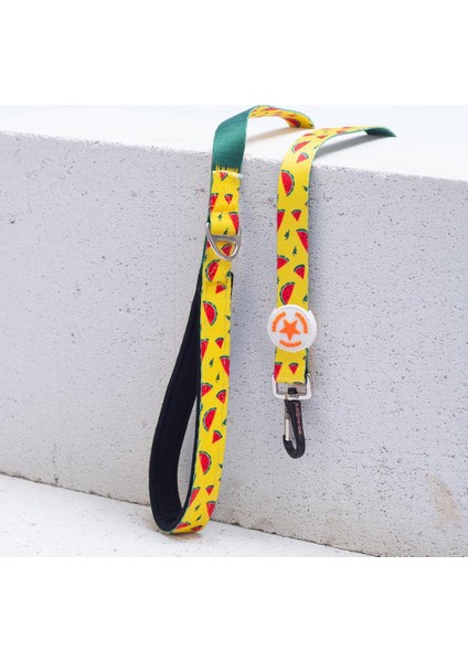 Watermelon Leash Karpuz Desenli Kedi Köpek Sevk & Gezdirme Kayışı Köpek Uzatma Tasması