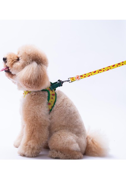 Watermelon Leash Karpuz Desenli Kedi Köpek Sevk & Gezdirme Kayışı Köpek Uzatma Tasması fiyatları