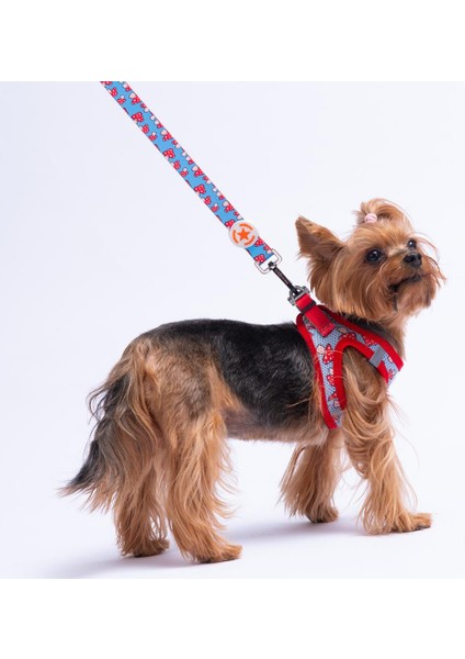 Mushroom Köpek Gezdirme Kayışı 120 cm x 2 cm fiyatları