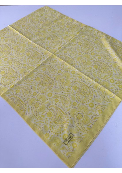 Elagance Soft Şal Ince Hafif Sarı Serisi LCR1010