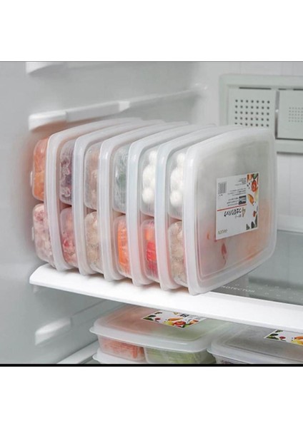 12'li 4 Bölmeli Dondurulmuş Et ve Sebze Saklama Kabı Seti – Öğünlük Porsiyon ve Pratik Saklama İçin